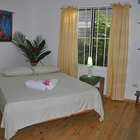 Cabarete Surf Camp Hotel Kültér fotó