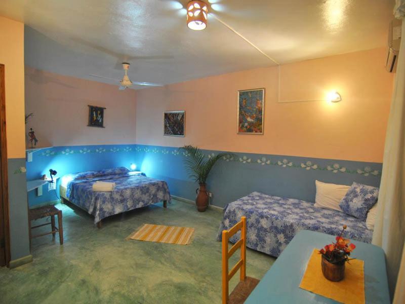 Cabarete Surf Camp Hotel Kültér fotó