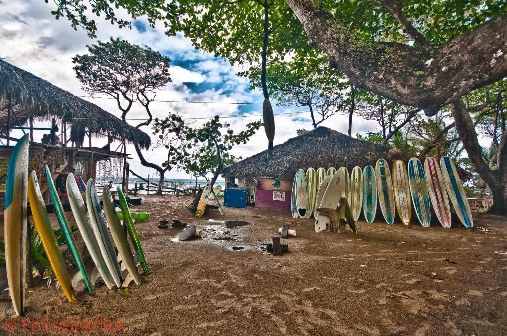 Cabarete Surf Camp Hotel Kültér fotó