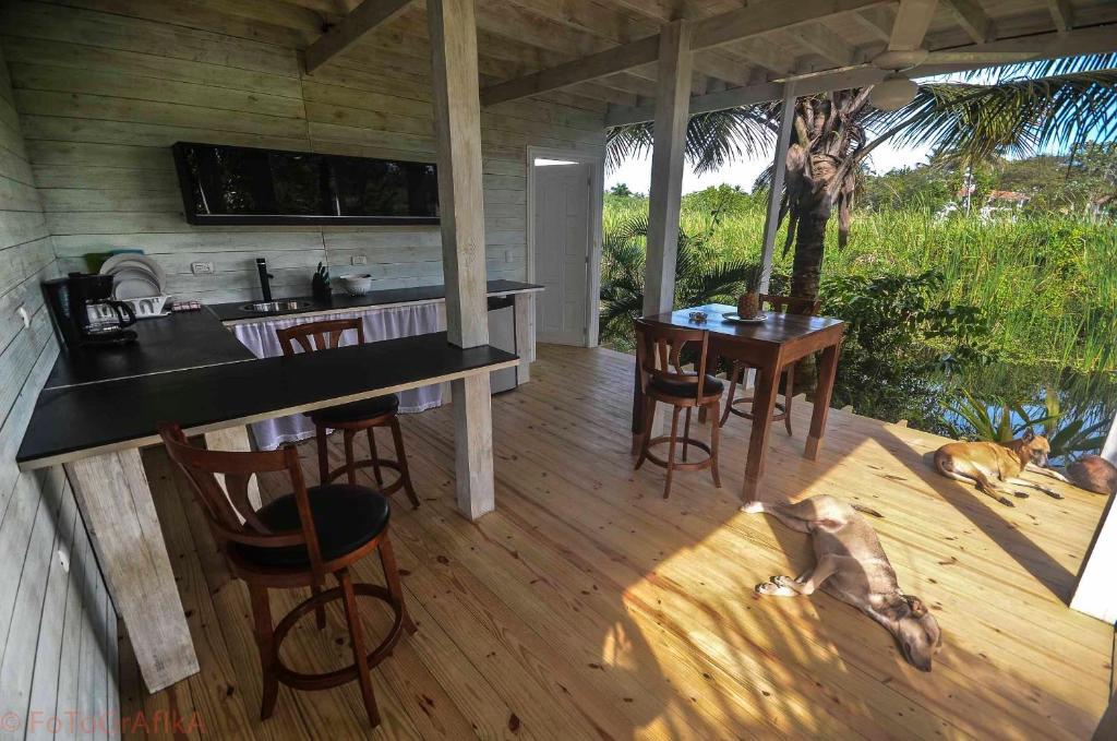 Cabarete Surf Camp Hotel Kültér fotó