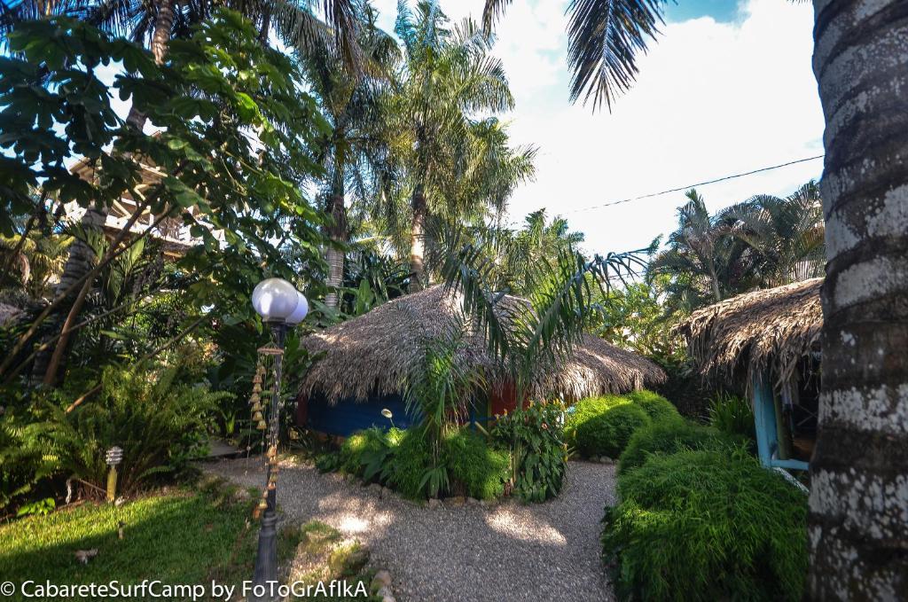 Cabarete Surf Camp Hotel Kültér fotó