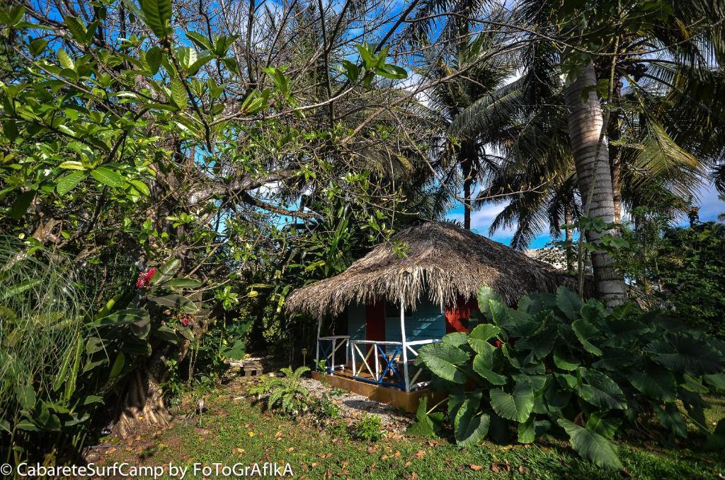 Cabarete Surf Camp Hotel Kültér fotó