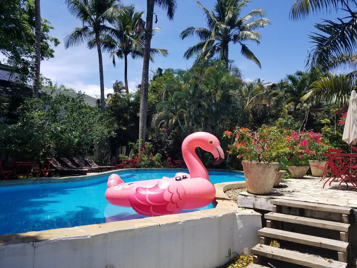 Cabarete Surf Camp Hotel Kültér fotó