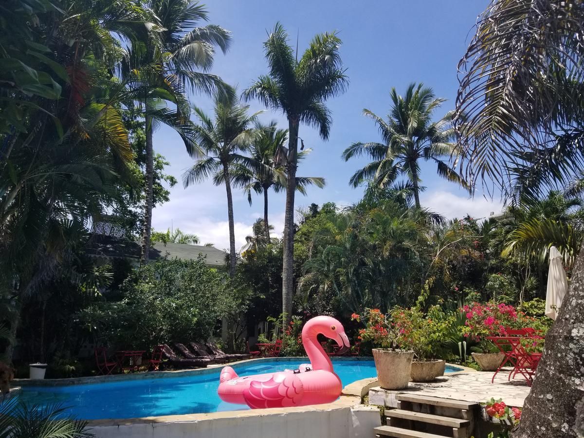 Cabarete Surf Camp Hotel Kültér fotó