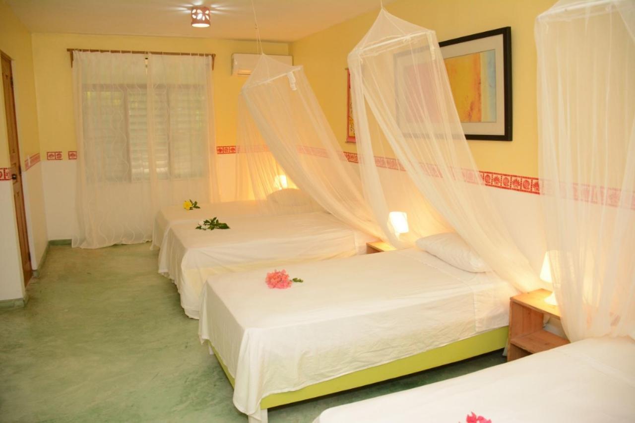 Cabarete Surf Camp Hotel Kültér fotó
